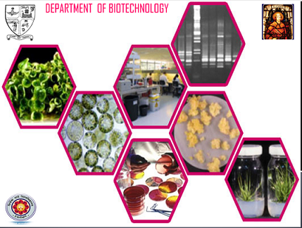 B.Sc In Biotechnology